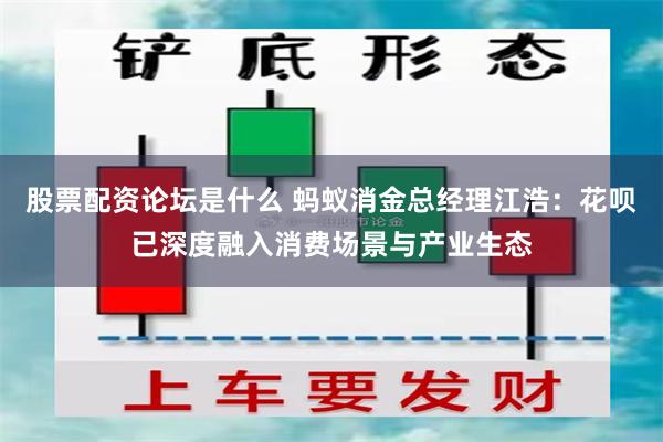 股票配资论坛是什么 蚂蚁消金总经理江浩：花呗已深度融入消费场景与产业生态