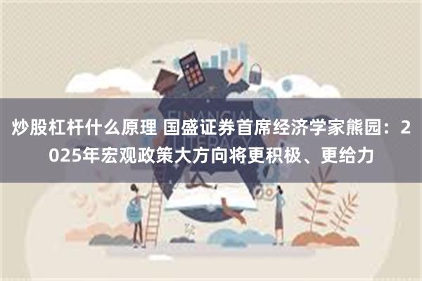 炒股杠杆什么原理 国盛证券首席经济学家熊园：2025年宏观政策大方向将更积极、更给力