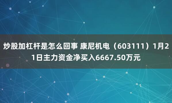 炒股加杠杆是怎么回事 康尼机电（603111）1月21日主力资金净买入6667.50万元