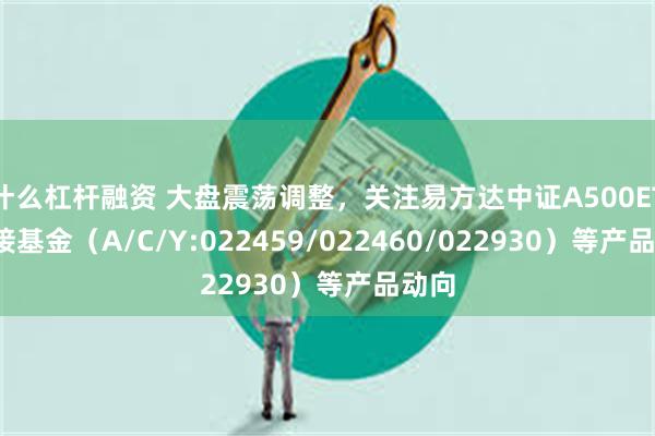 什么杠杆融资 大盘震荡调整，关注易方达中证A500ETF联接基金（A/C/Y:022459/022460/022930）等产品动向